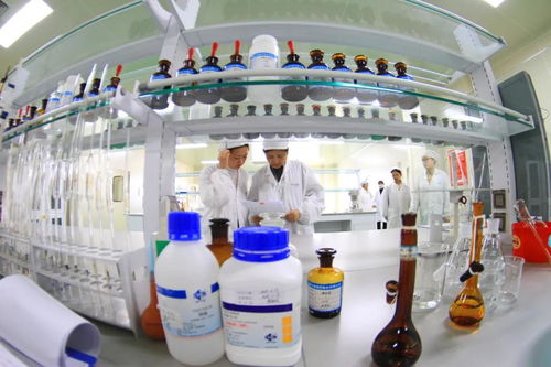 发现汉森之美 摄影大赛第一季优秀作品出炉 大赛第二季开启